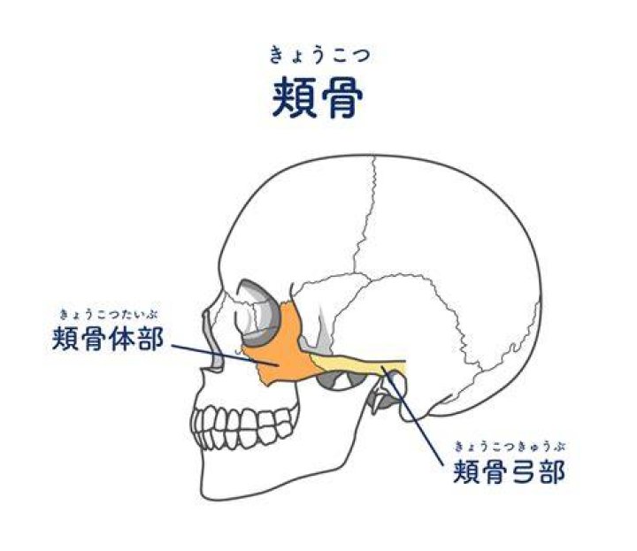 頬骨出てる女性芸能人の魅力と特徴｜個性的な顔立ちが生む美しさの秘密